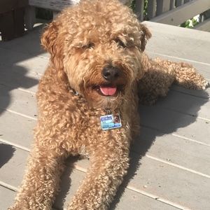 Meet your Posher, 401